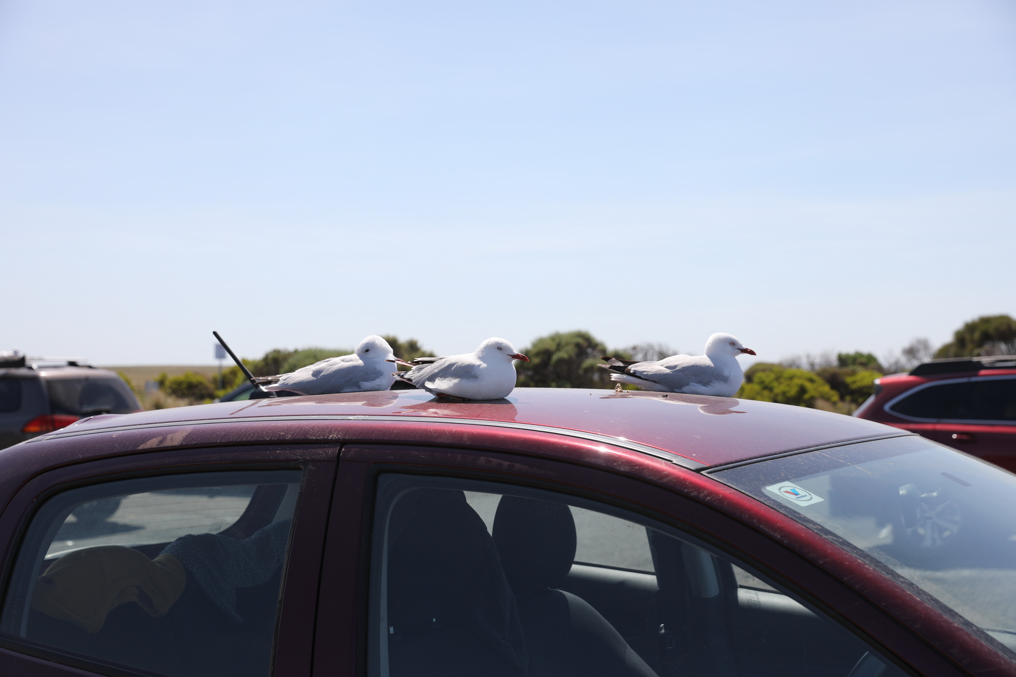 2019 12 19 11 02 14 Canon EOS 5D Mark IV 0019